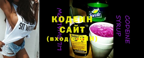 индика Балахна
