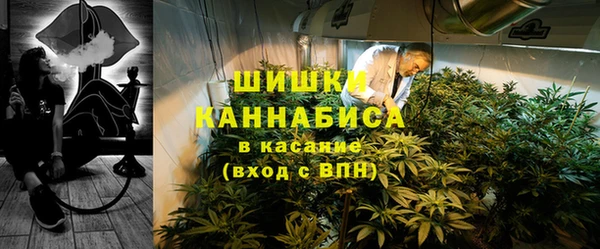 индика Балахна