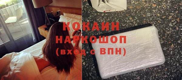индика Балахна