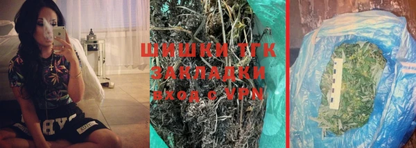 индика Балахна