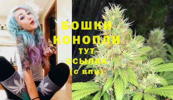 индика Балахна