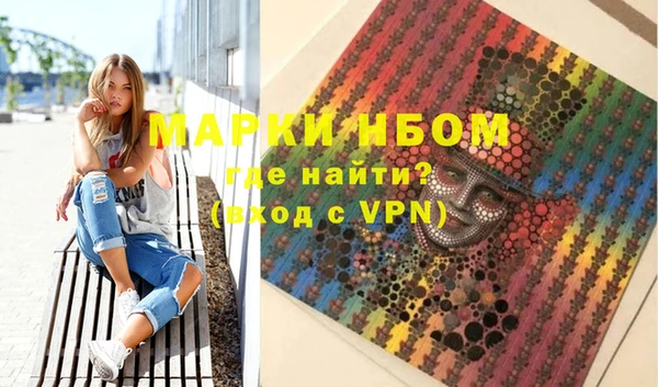 индика Балахна