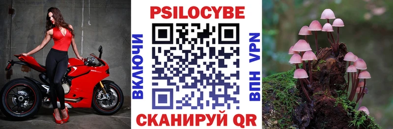 MEGA как зайти  закладка  Новая Ладога  Галлюциногенные грибы Magic Shrooms 